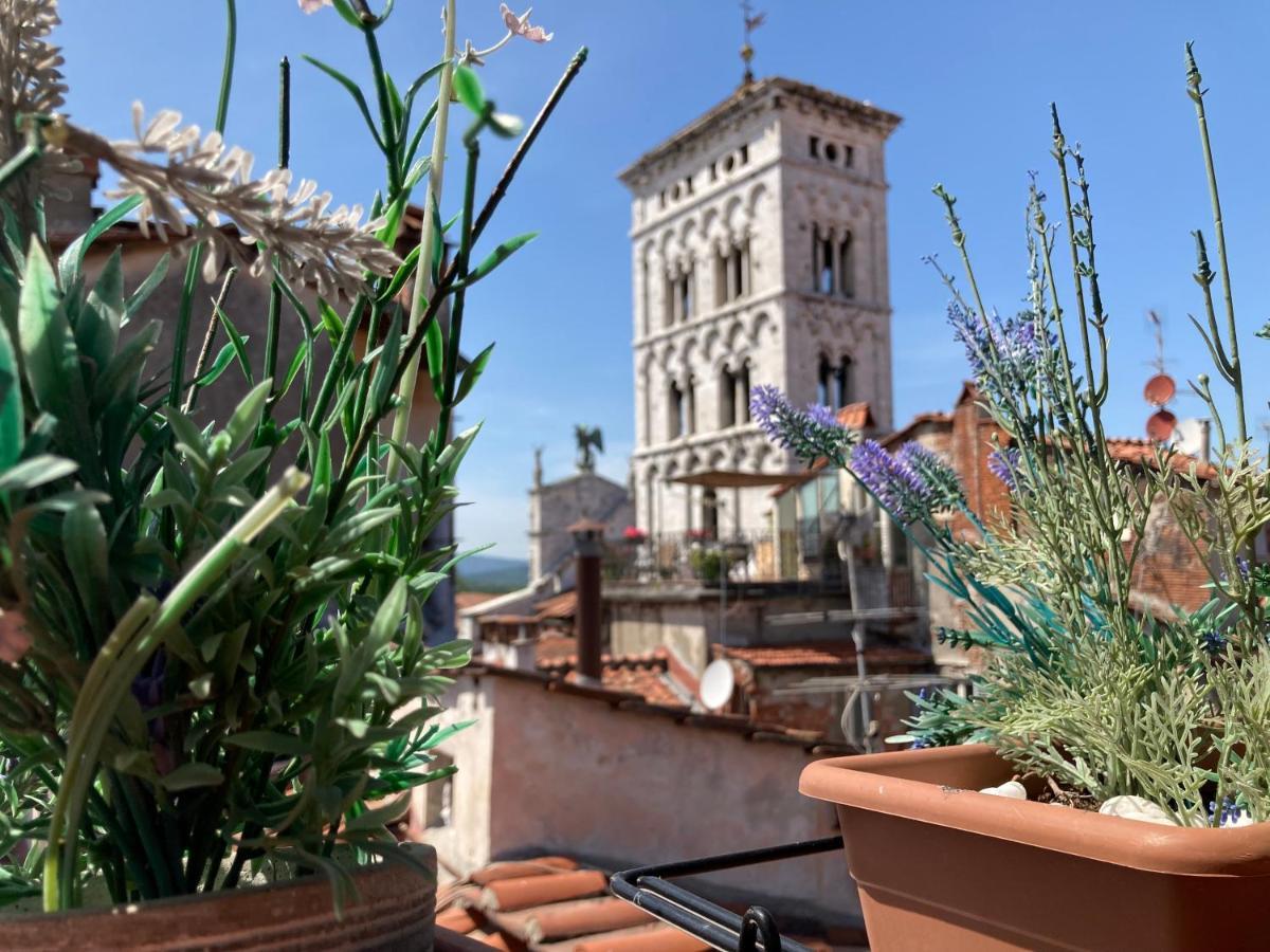 Terrazza San Michele - Affitti Brevi Italia Apartment Lucca Bagian luar foto